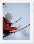 animal footprints_1595 * 2736 x 3648 * (4.31MB)